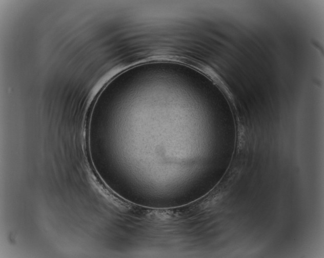 X0000101120955200807031800
