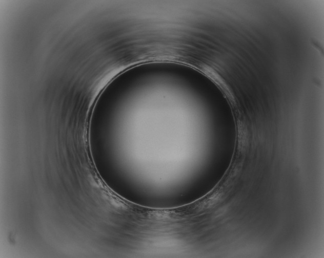 X0000101120956200807031800
