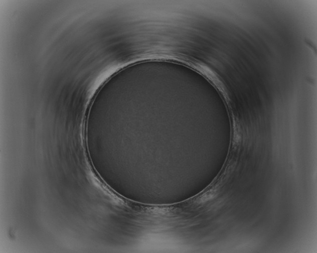 X0000101120958200807031800