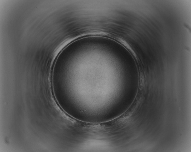 X0000101120959200807031800