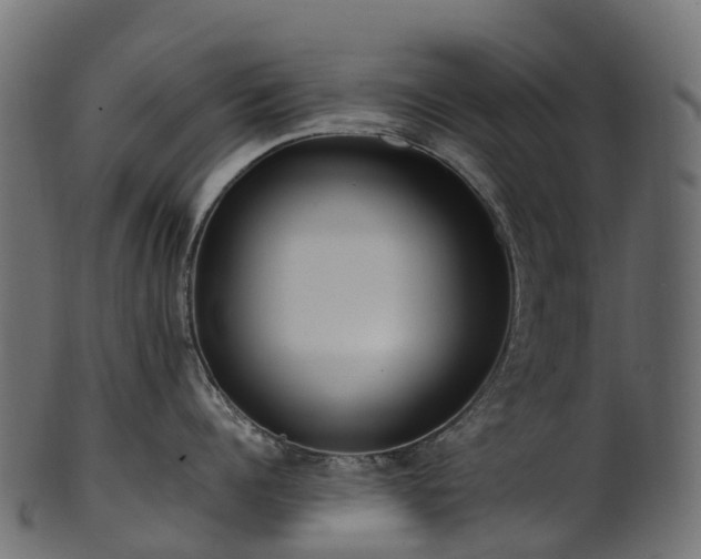 X0000101120960200807031800