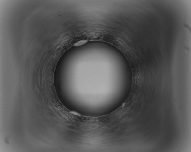 X0000101120961200807031800