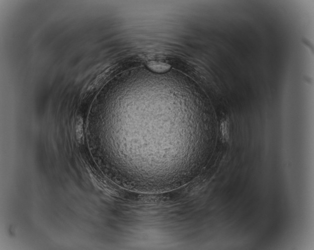 X0000101120963200807031800