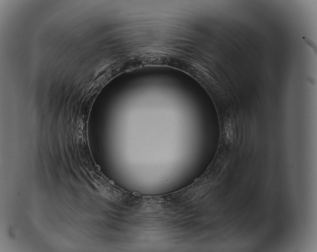 X0000101120964200807031800