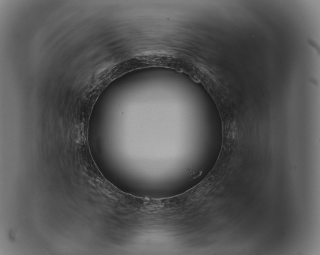 X0000101120965200807031800