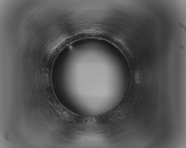 X0000101120968200807031800