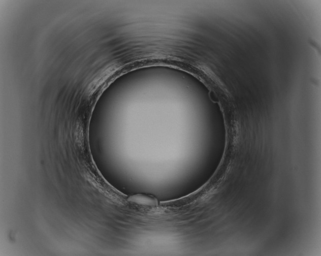 X0000101120969200807031759