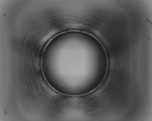 X0000101120970200807031759