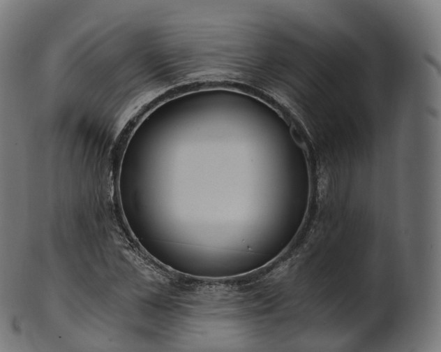 X0000101120973200807031759