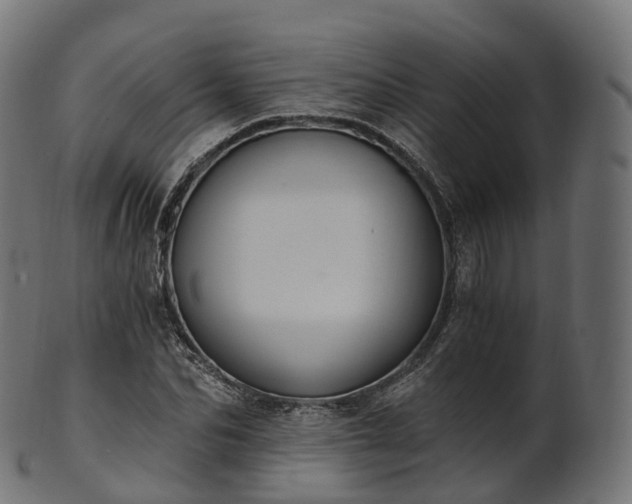X0000101120974200807031759