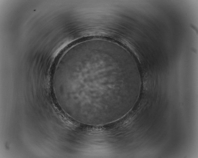 X0000101120975200807031759