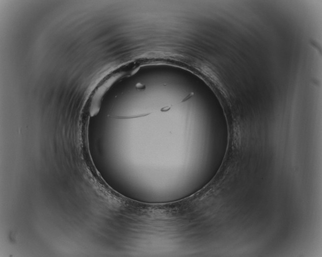 X0000101120976200807031759
