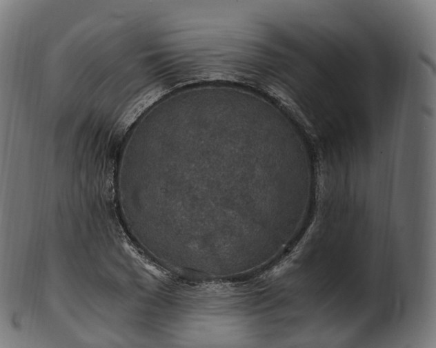 X0000101120977200807031759