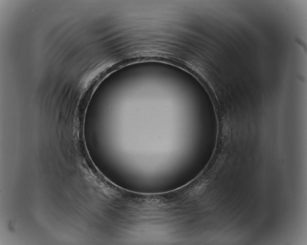 X0000101120979200807031759