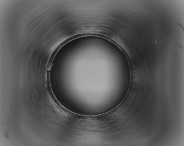 X0000101120980200807031759