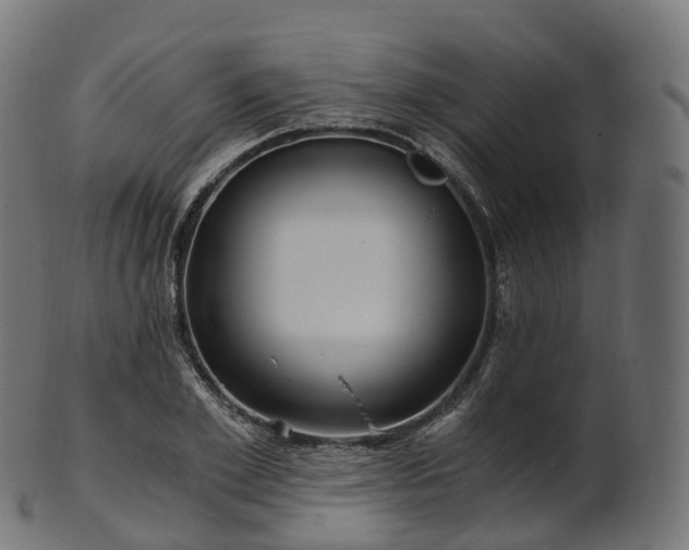 X0000101120981200807031759