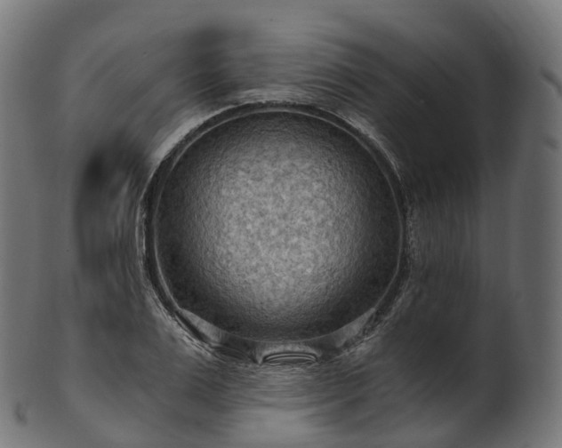 X0000101120983200807031759