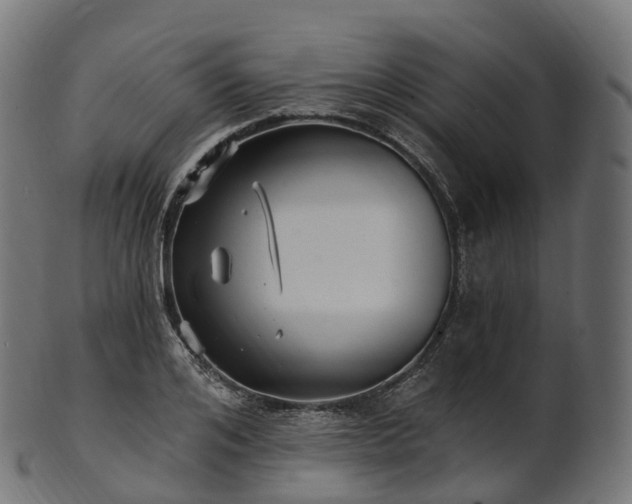 X0000101120984200807031759