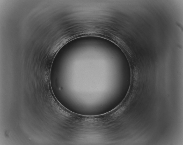 X0000101120985200807031759