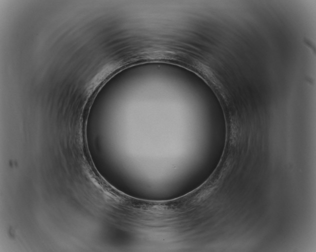 X0000101120986200807031759