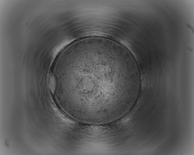 X0000101120987200807031759