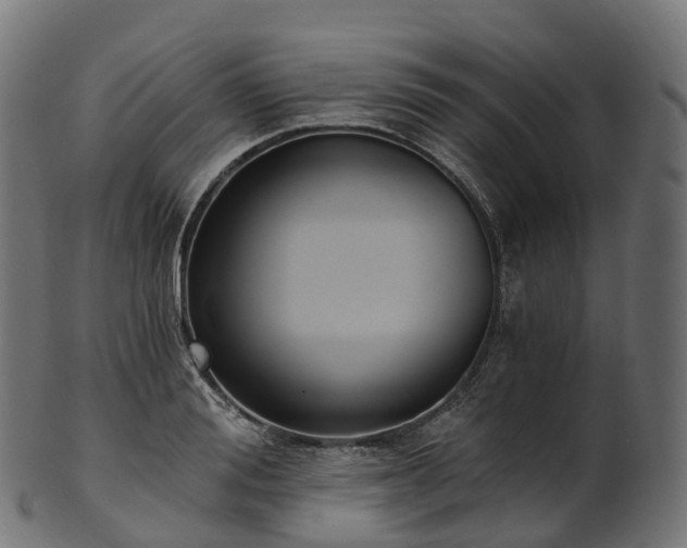 X0000101120988200807031759
