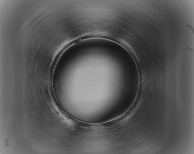 X0000101120989200807031759