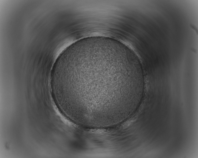 X0000101120991200807031759