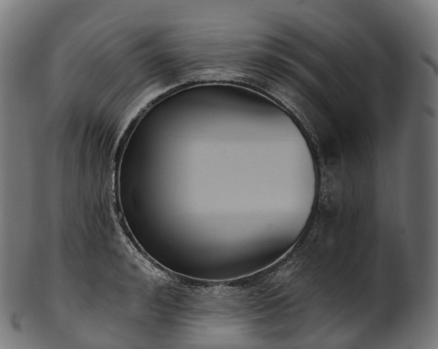 X0000101120992200807031759