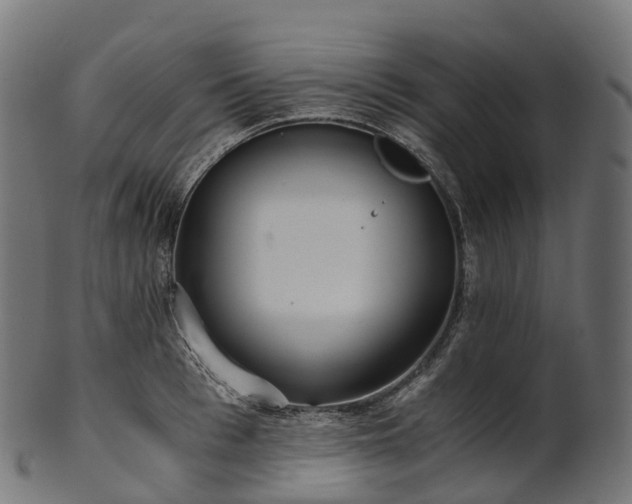 X0000101120993200807031759