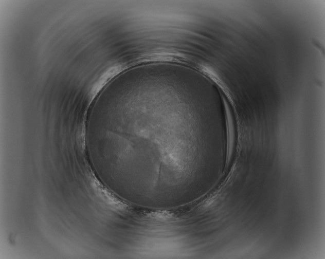 X0000101120994200807031759