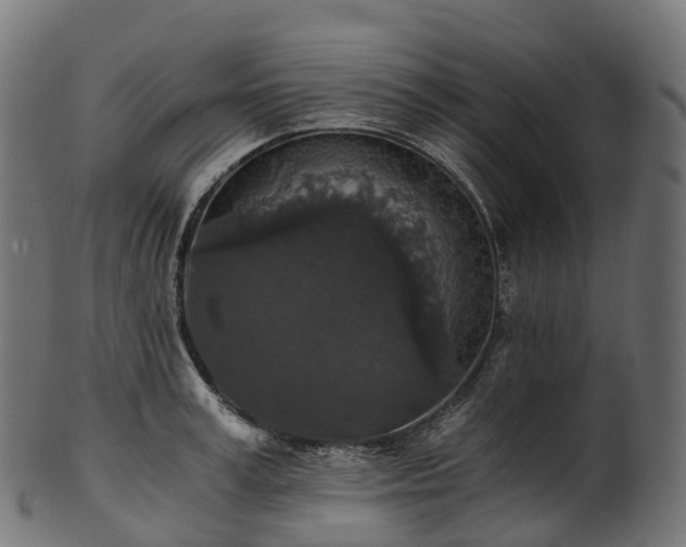 X0000101120995200807031759