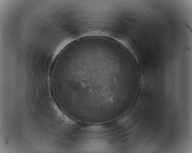 X0000101120998200807031759