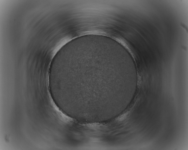X0000101120999200807031759