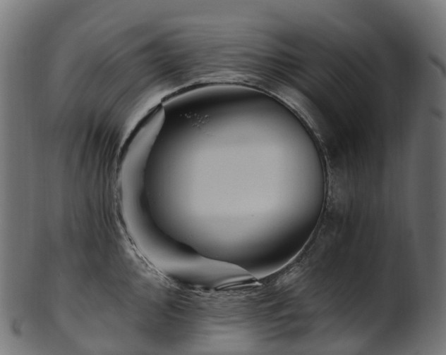 X0000101121000200807031759