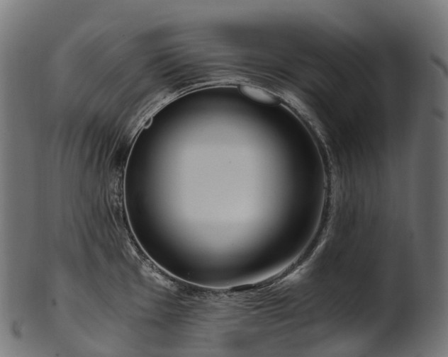 X0000101121001200807031759