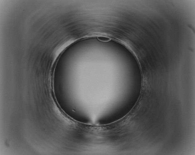 X0000101121003200807031759