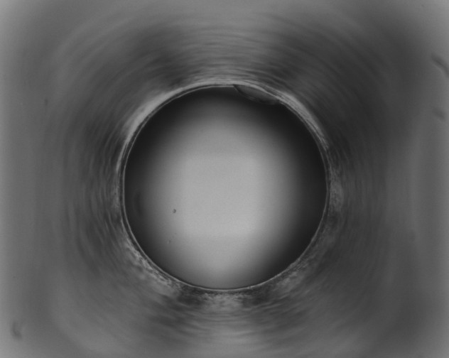 X0000101121004200807031759