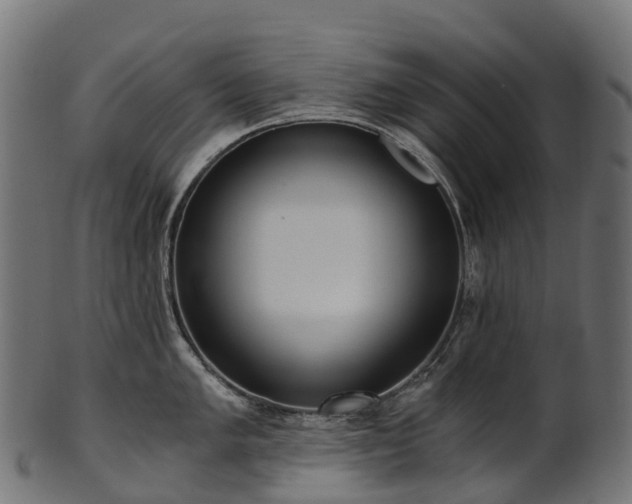X0000101121005200807031759