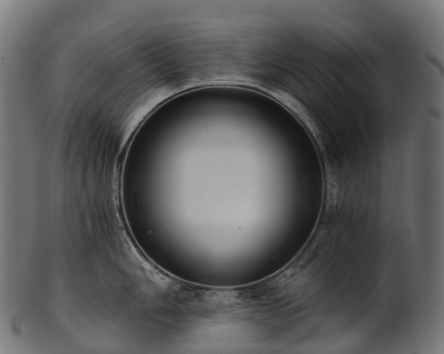 X0000101121006200807031759