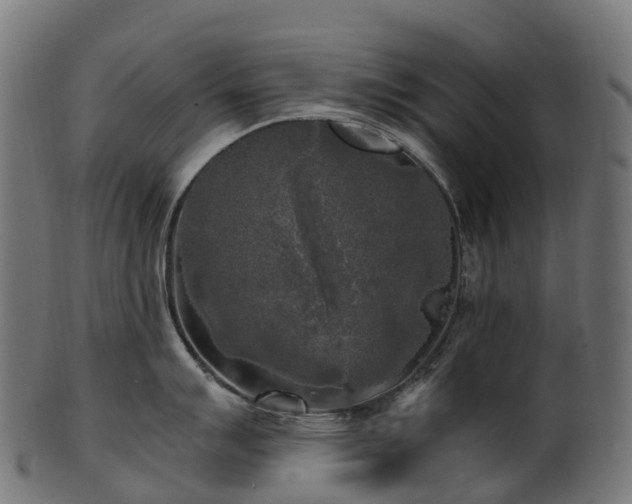 X0000101121007200807031759