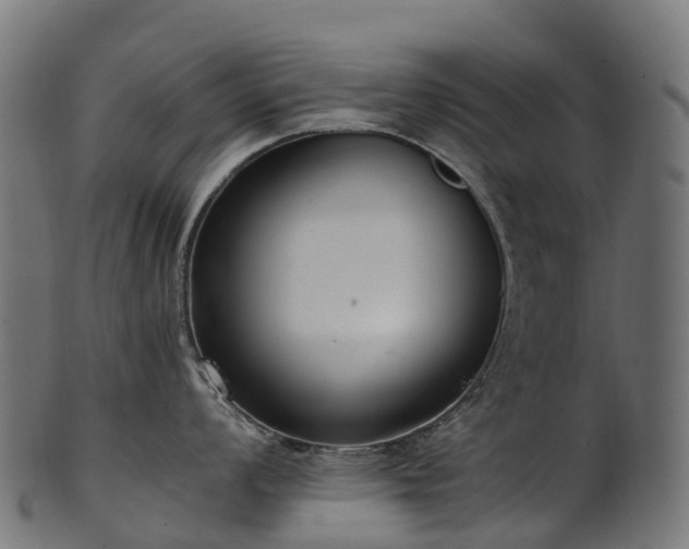 X0000101121008200807031759