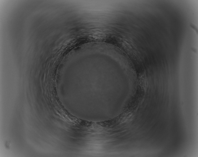 X0000101121009200807031758