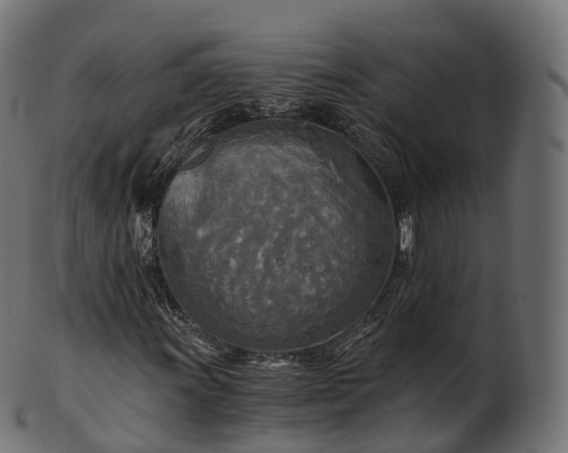 X0000101121011200807031758