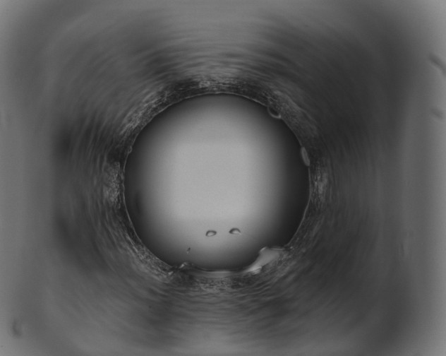 X0000101121012200807031758