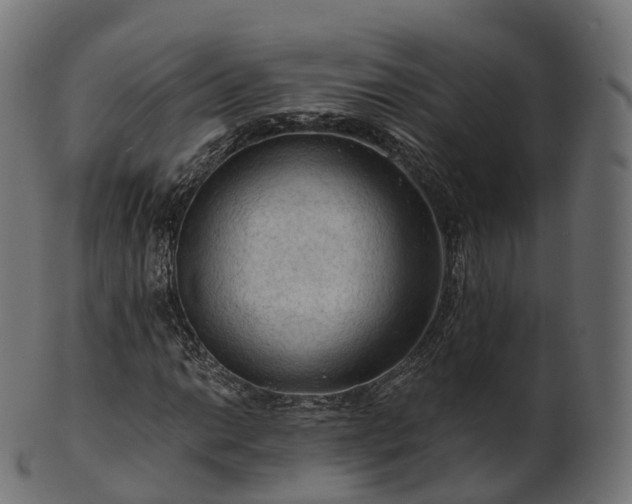 X0000101121014200807031758