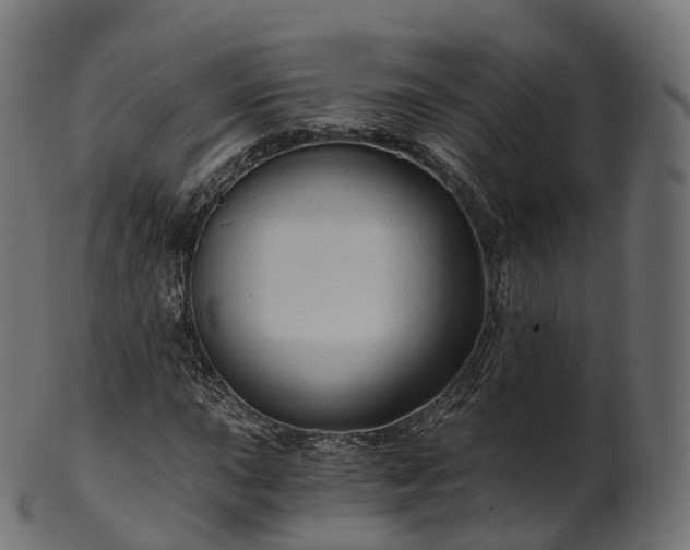 X0000101121015200807031758
