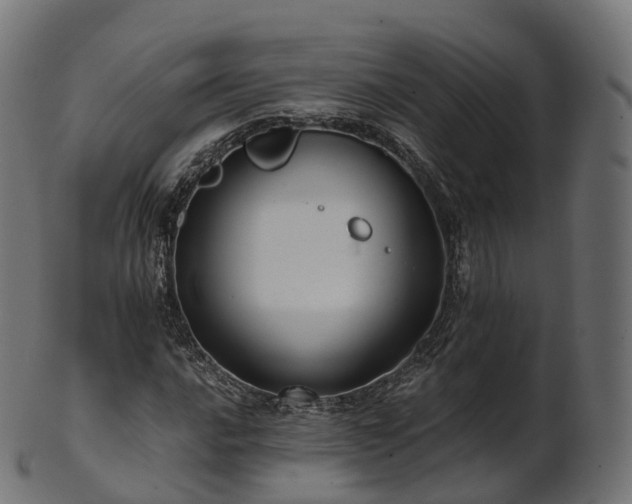 X0000101121016200807031758
