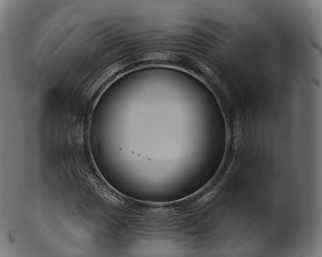 X0000101121017200807031758
