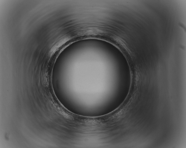 X0000101121018200807031758